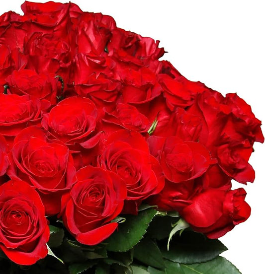 Rosenstrauß mit 40 roten Rosen – Frische Schnittrosen in Floristenqualität, ca. 40 cm Länge